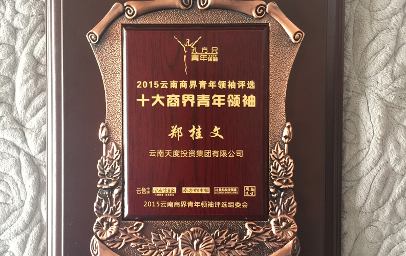 在“互聯(lián)網(wǎng)大時(shí)代”的背景下，天度作為本土很大和很有名的互聯(lián)網(wǎng)服務(wù)企業(yè)，為近萬家傳統(tǒng)企業(yè)轉(zhuǎn)型互聯(lián)網(wǎng)+提供了服務(wù)和幫助，獲此獎(jiǎng)項(xiàng)后，我們將再接再厲，創(chuàng)造更高的社會(huì)價(jià)值